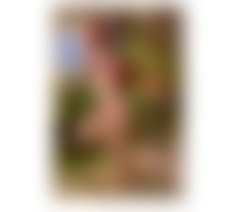 Escorts Bedfordshire Luton - Photos for Party girl 24hs ✅