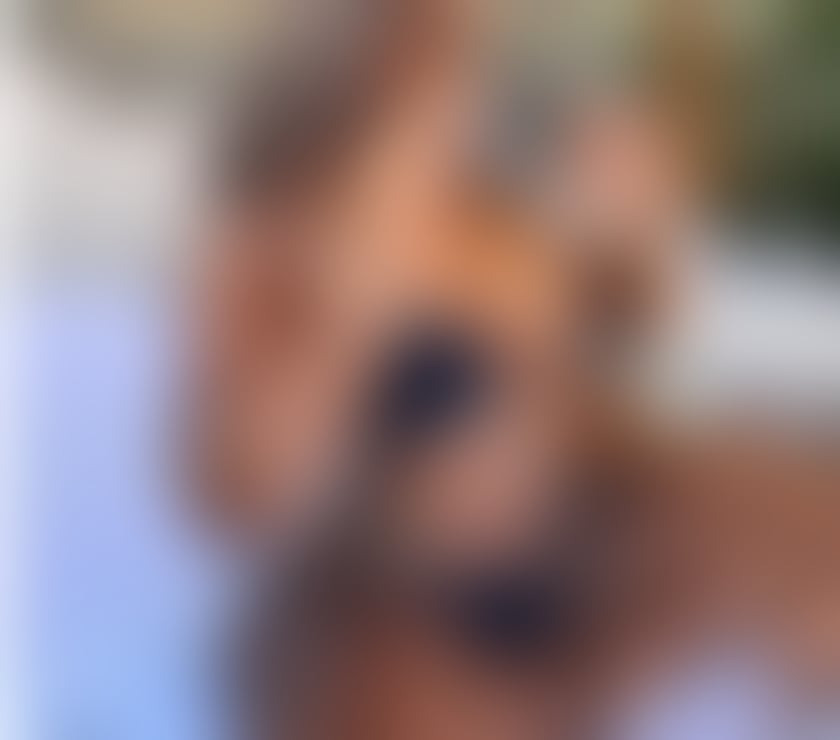 Escort Woking Town Centre Woking - Photos for 🔥AMAZING DELICIOUS 🍫 BEST OWO👅 GD SERVICES