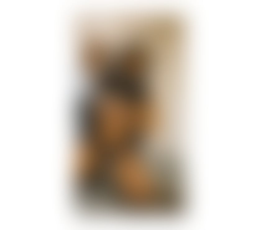 New here Latina outcall only