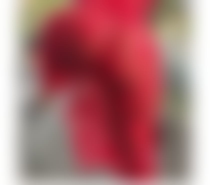 Escorts Hampshire Portsmouth - Photos for Ebony Sophie in your area PO6 💘