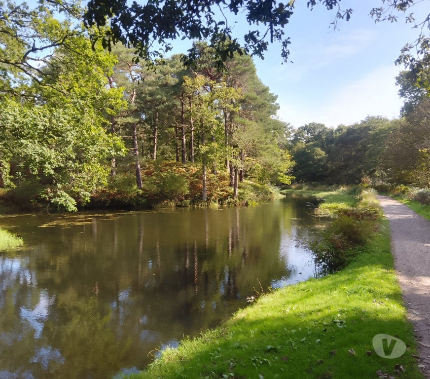 adult personals Bracknell Forest Crowthorne - Bracknell Forest - Photos for Retired Gent seeks mature Lady