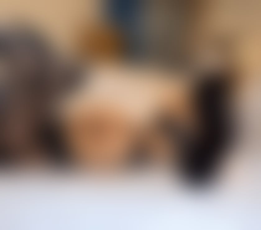 Escorts North Yorkshire Middlesbrough - Photos for Mel😊Photo Real❤️