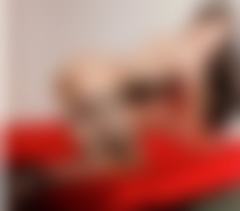 Escorts Doncaster City Centre Doncaster - Photos for ❤️‍🔥I'm ZOEY sexy Thai ladyboy TS in DONCASTER now