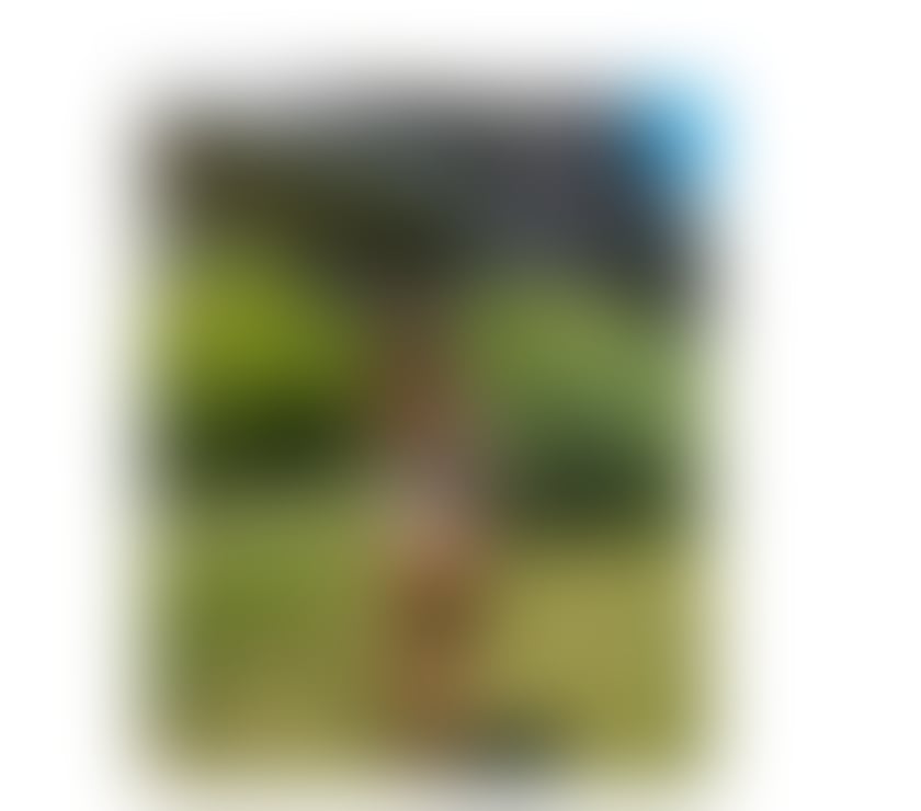 Escorts Merseyside Liverpool - Photos for 🔸HOT LATINA NEW NEW 🔸🔸 PERFECT BODY