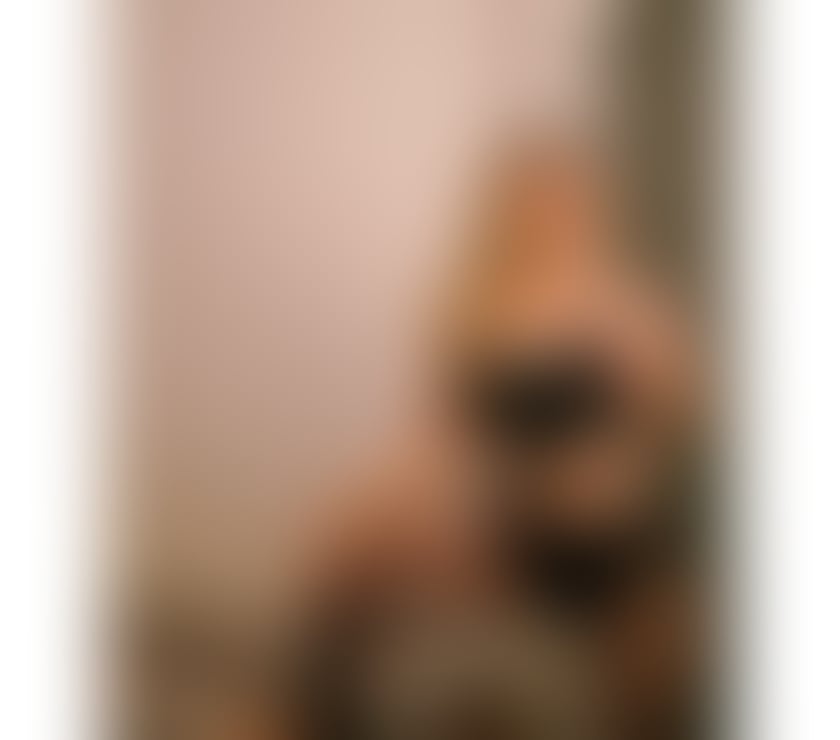 Escorts Leicestershire Leicester - Photos for 💎New&Naughty🔞Mara🍒Best service ⚡️