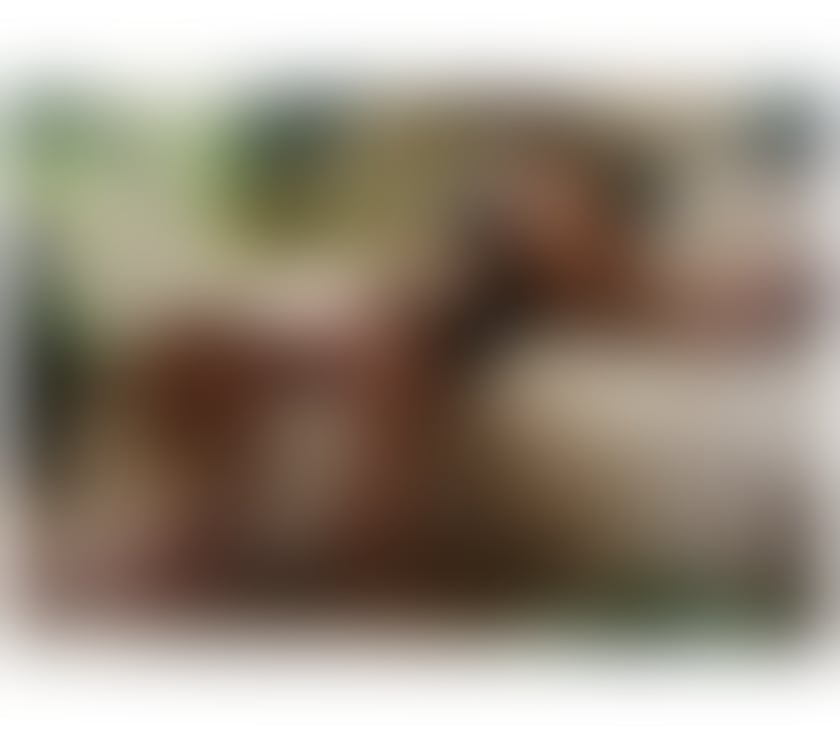 Escorts East India East London - Photos for Annabelle sexy blonde in your area 🔥