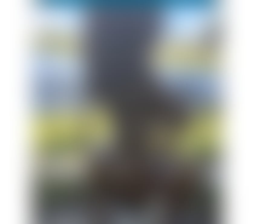 Escorts West Midlands Birmingham - Photos for Gorgeous Black Girl:)❤️