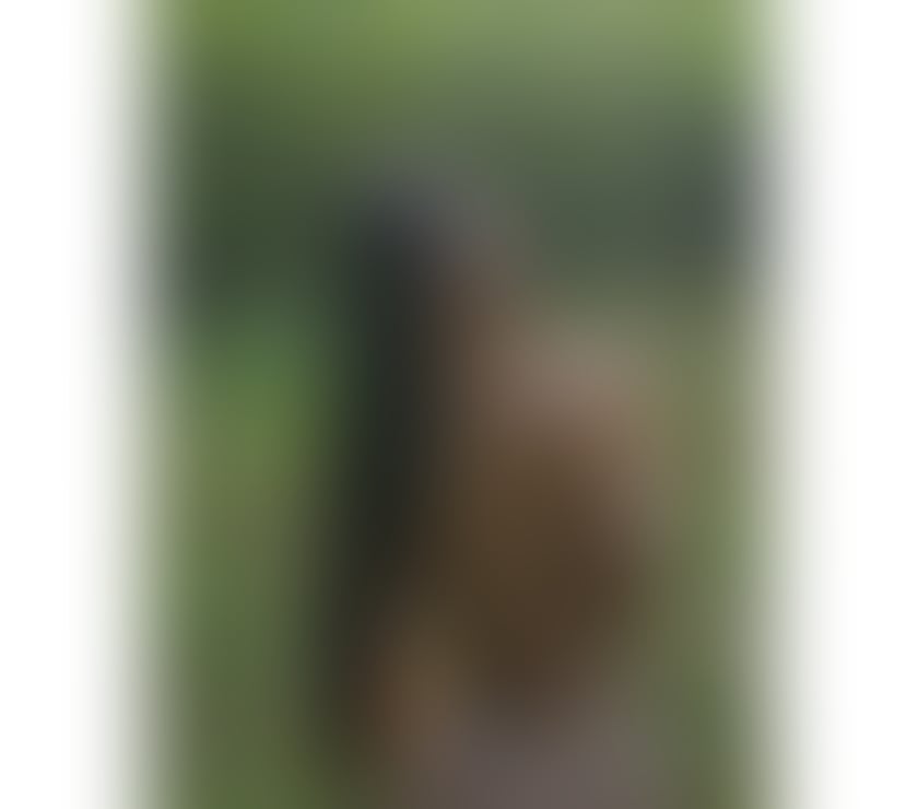 Mia ❤️ New in town 🔥 Party 🔥