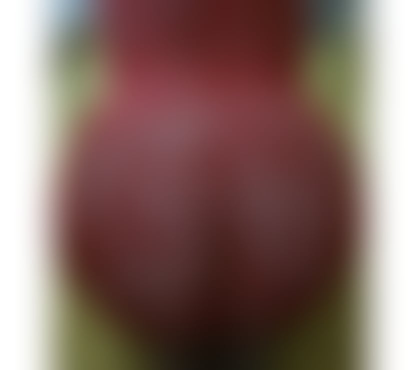  Escorts Sholing Southampton - Photos for British brunette