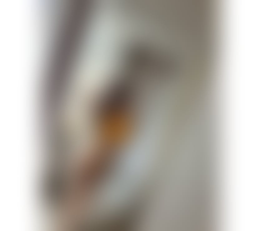 👑New party girl 👑