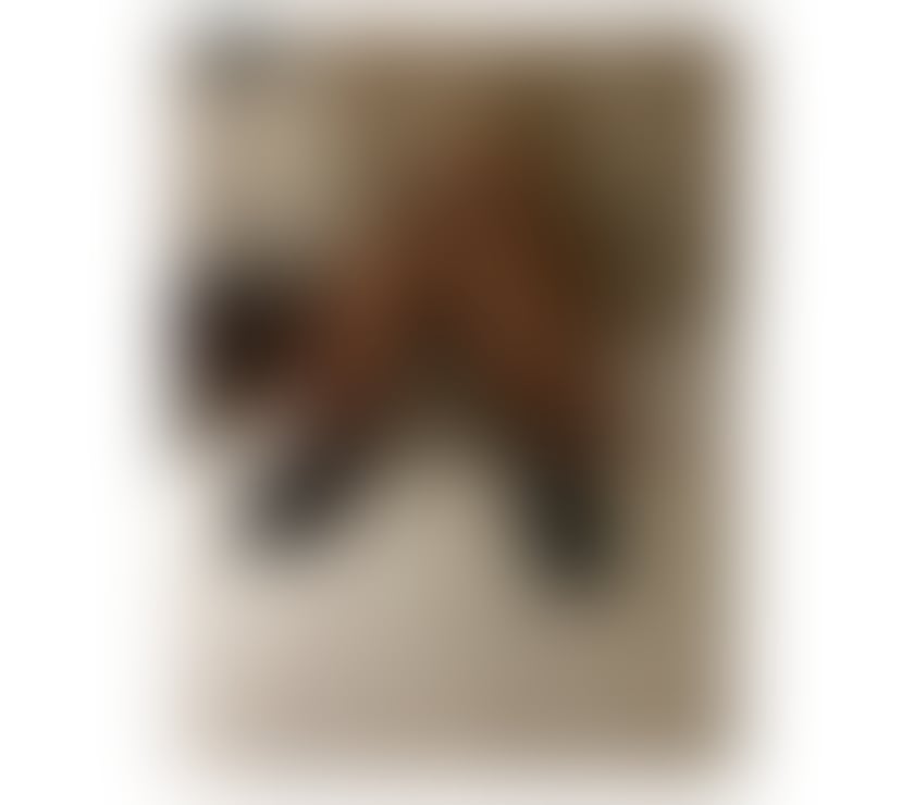 Escorts Essex Harlow - Photos for Lucy🔵 New in Harlow💞