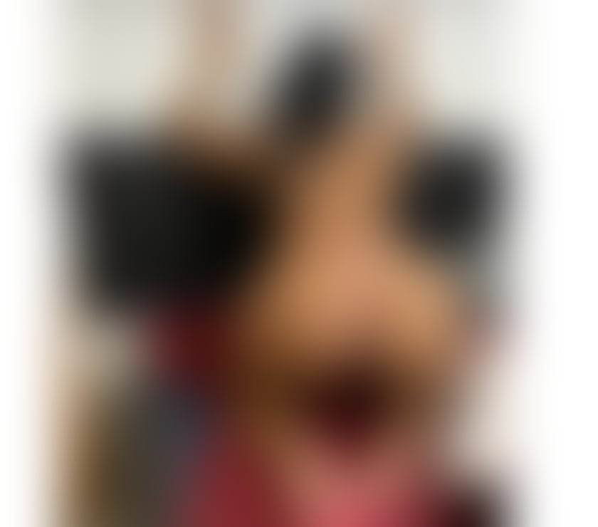 Escorts Hampshire Southampton - Photos for Hot Latina in Southampton today 🔥