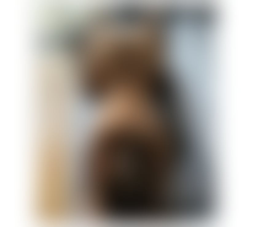 Escorts Shropshire Shrewsbury - Shropshire - Photos for CAROLINA🔥🔥GIRL HOT🔥GOOD SERVIE