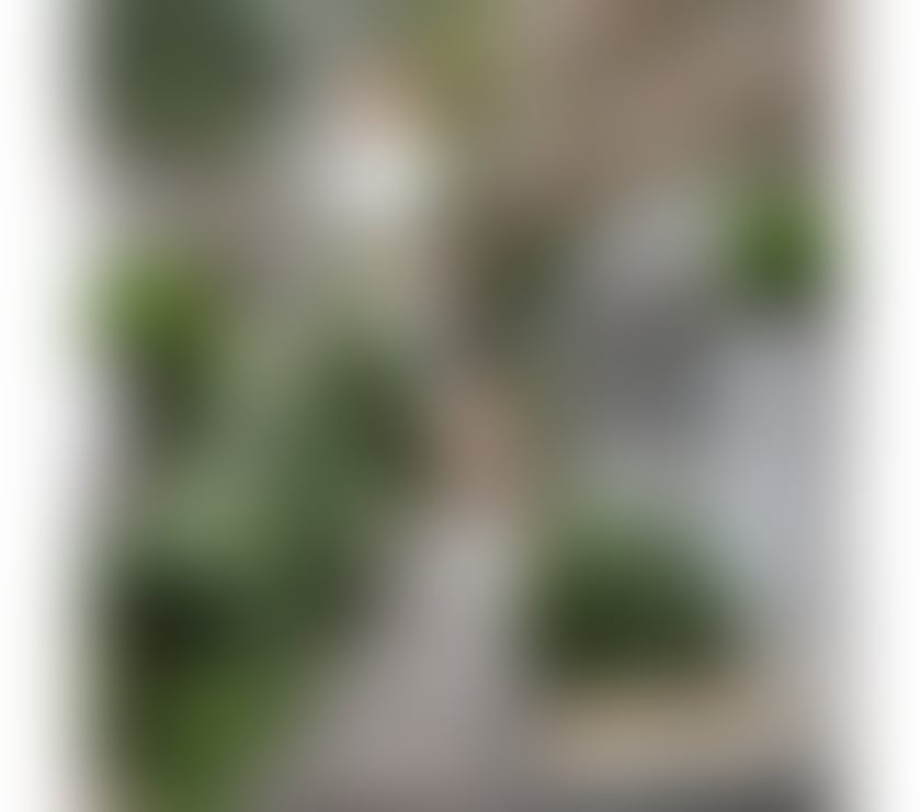 Escorts Edinburgh Edinburgh - Edinburgh - Photos for *New Sexy Nina, an unforgettable time is promised in EH6