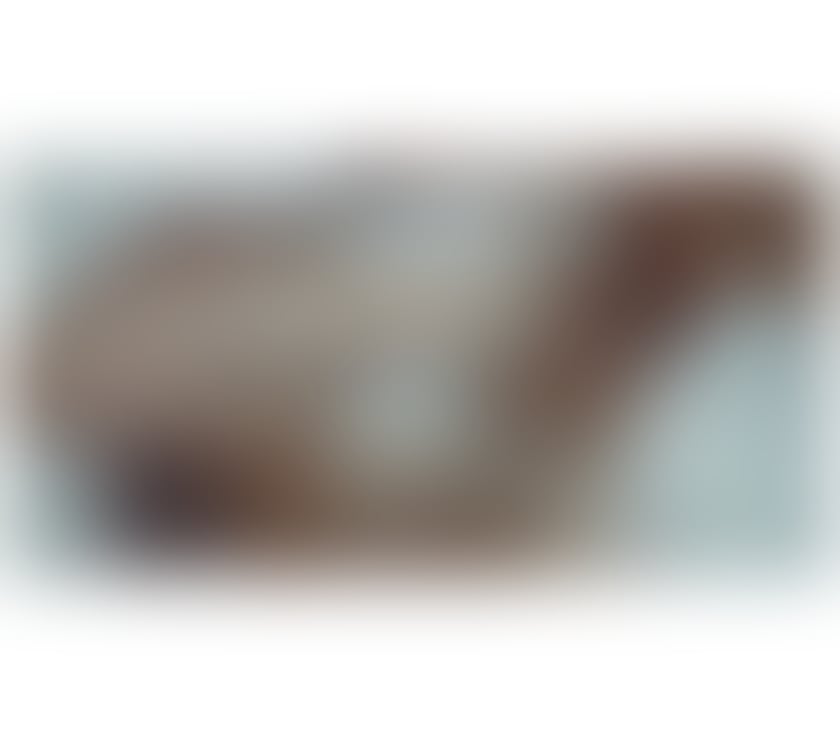 Escorts North London Enfield - Photos for 🌸🩵💦BONNIE HERE FOR LAST 2 DAYS🩵🌸💦