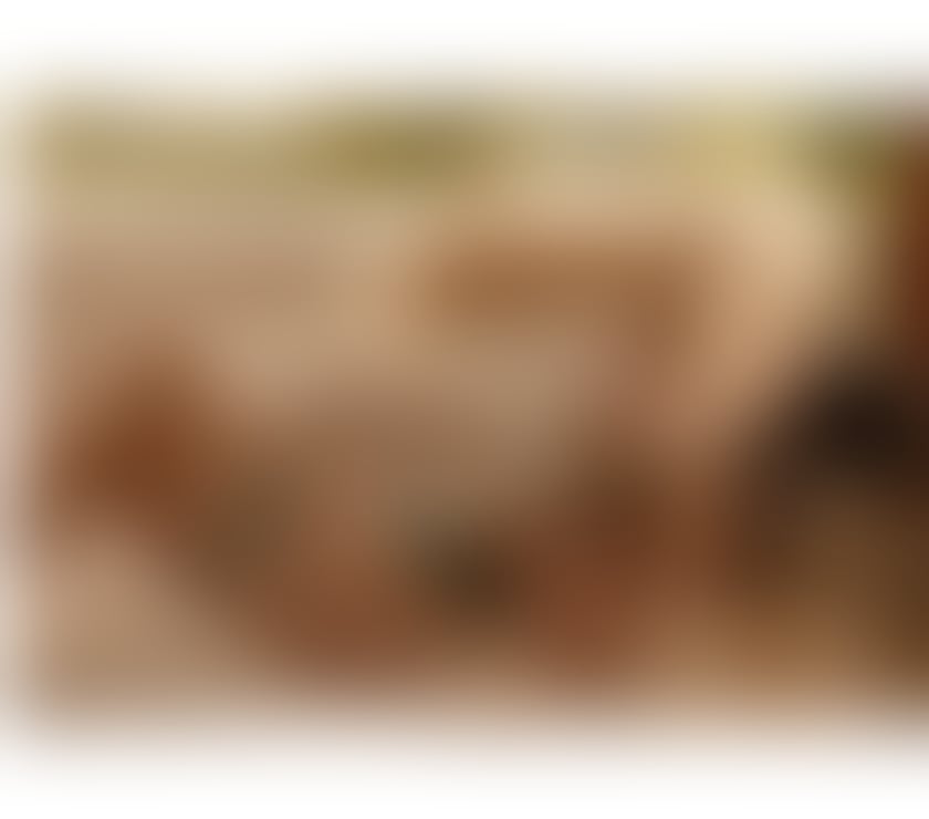 Escorts South East London Penge West Station - South East London - Photos for BIBI 💯 %real 🇧🇷party🧚🏼‍♀️