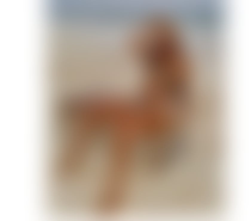 Escorts South West London Sutton - Photos for MEL BABY FACE 22 y🥰SEXY LATINA