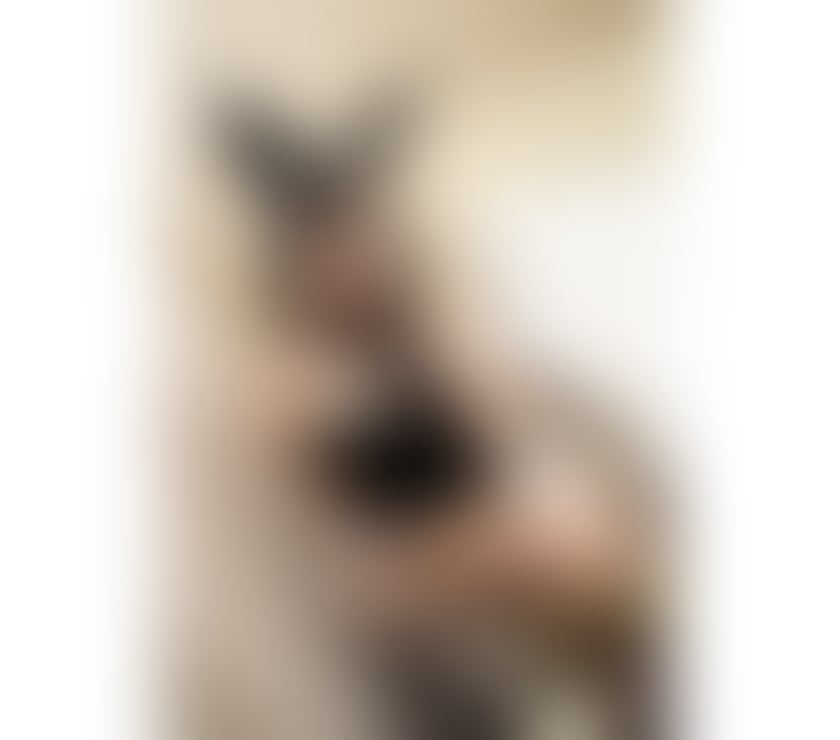 Sexy Thai❤️NEW in🌟here to serve you⭐️