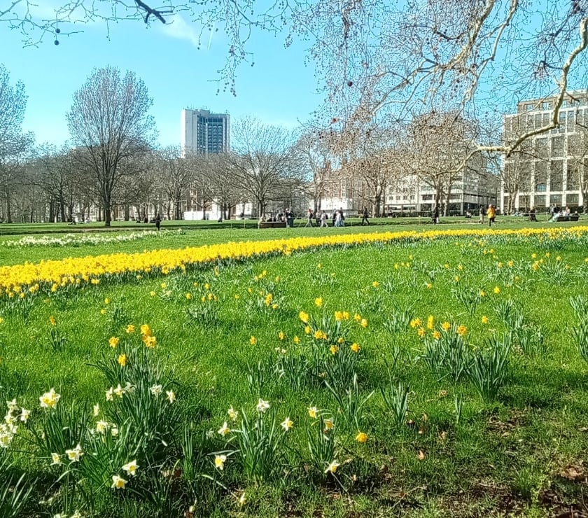 Gay Dating South East London Crystal Palace - South East London - Photos for Pop by for NSA funtimes