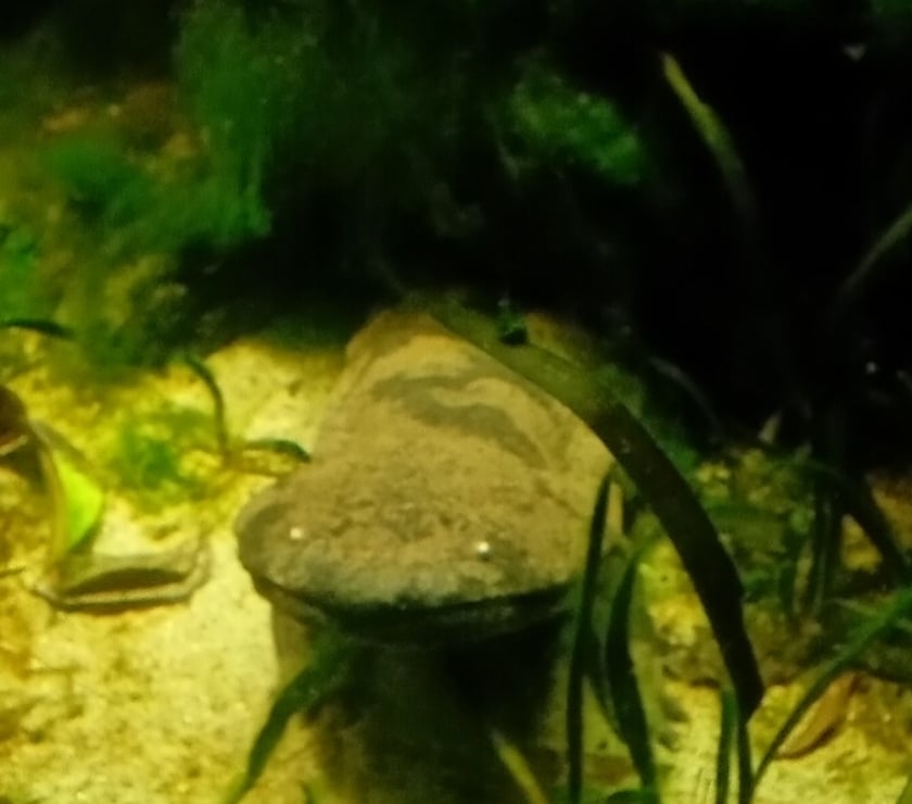 Gay Dating South East London Crystal Palace - South East London - Photos for Pop by for NSA funtimes