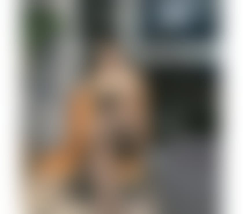 Escorts North Lanarkshire Bellshill - North Lanarkshire - Photos for Lonely home❤️ML4 BELLSHILL NEW