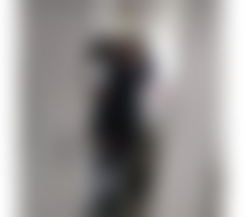 Escorts North West London Colindale - North West London - Photos for Hi Guys❤️ is Zita I’m hope you’re well!