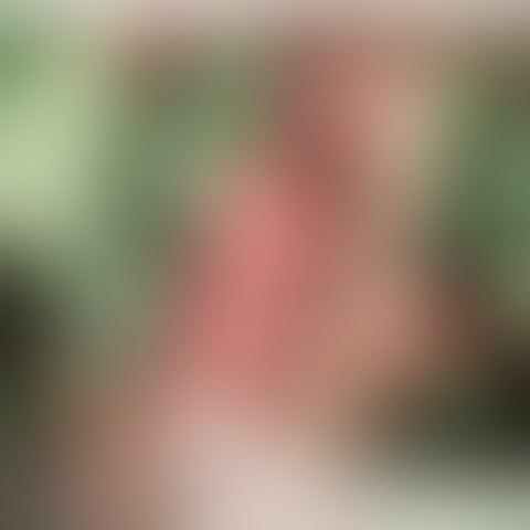 Escorts Shropshire Telford and Wrekin - 