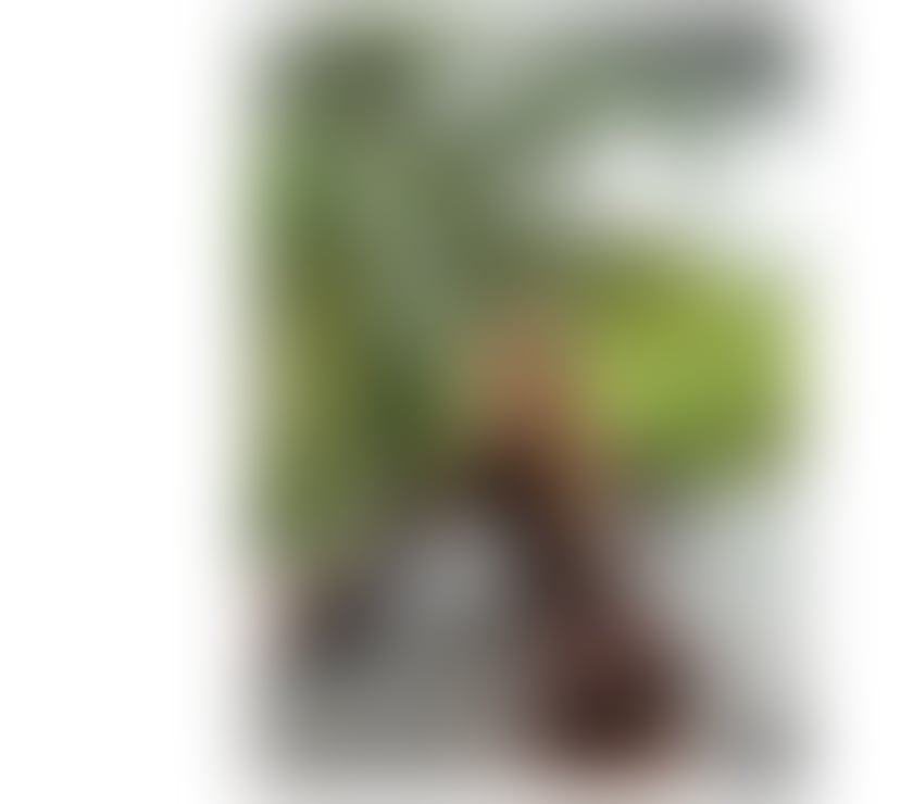 Escorts Central London London Bridge Station - Central London - Photos for ALINE BRAZILIAN 🥂PARTY - NEW IN TOWN