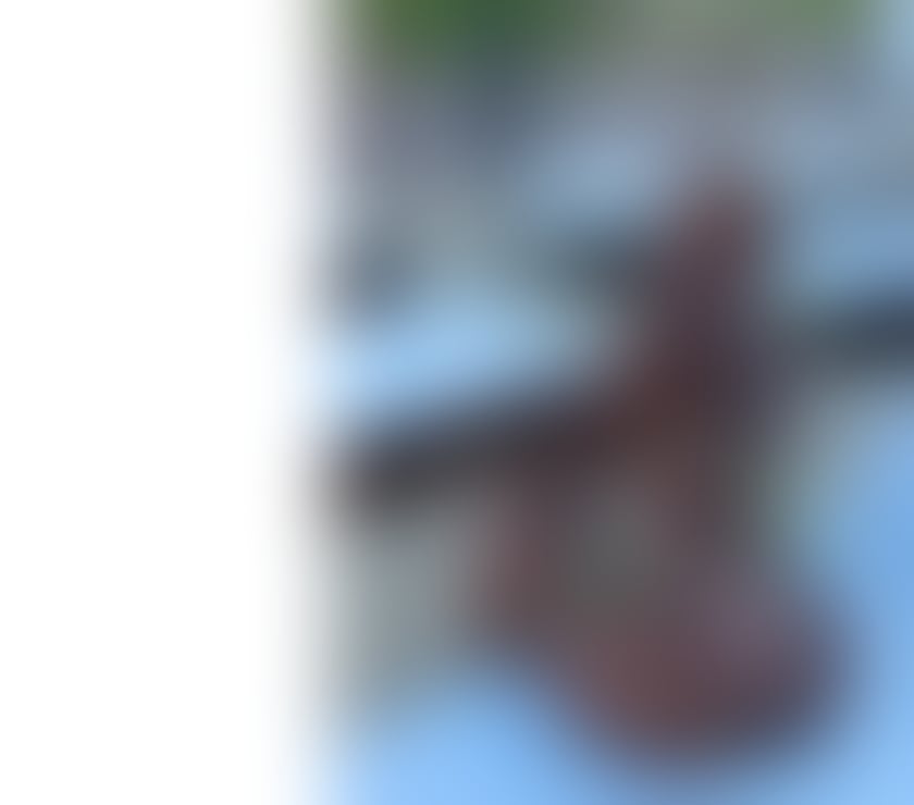 Escorts South East London Croydon - Photos for YASMINE BLACK DIAMOND 💎 GUINEA 🇬🇳LUXURY