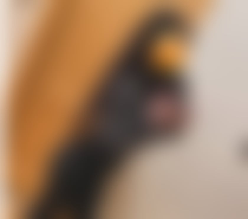 Escorts East London Havering - Photos for Hot girl xx call me x xxxxxx