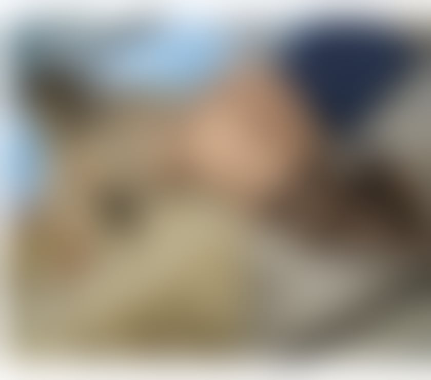 Escorts Shropshire Telford and Wrekin - Photos for Latin girl massage and more...