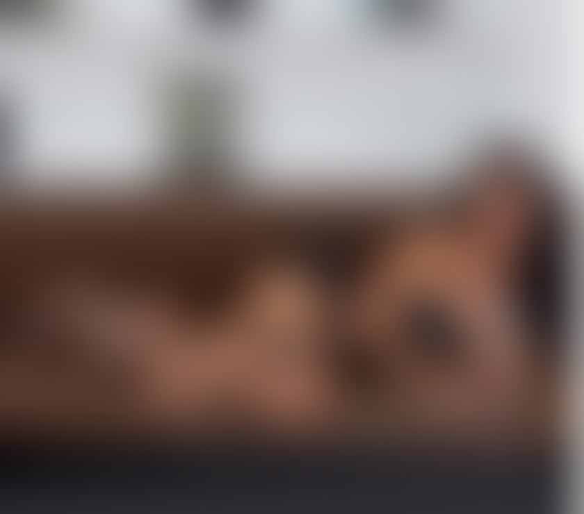 Escorts Shropshire Shrewsbury - Shropshire - Photos for SEXY CANDY PETITE 🦋🤎NATURAL ✨ ASSIAN🦋