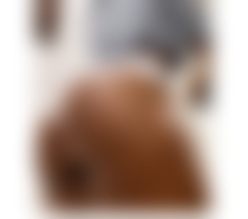 Sexy💋hot new city 💋🥰OWO💋party