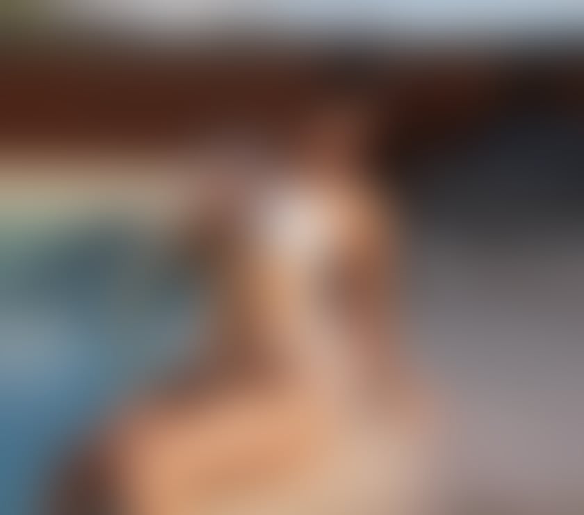 Escort Liverpool City Centre Liverpool - Photos for ❤️ MY NAME IS YASMIN ❤️🌟❤️ NEW IN LIVERPOOL