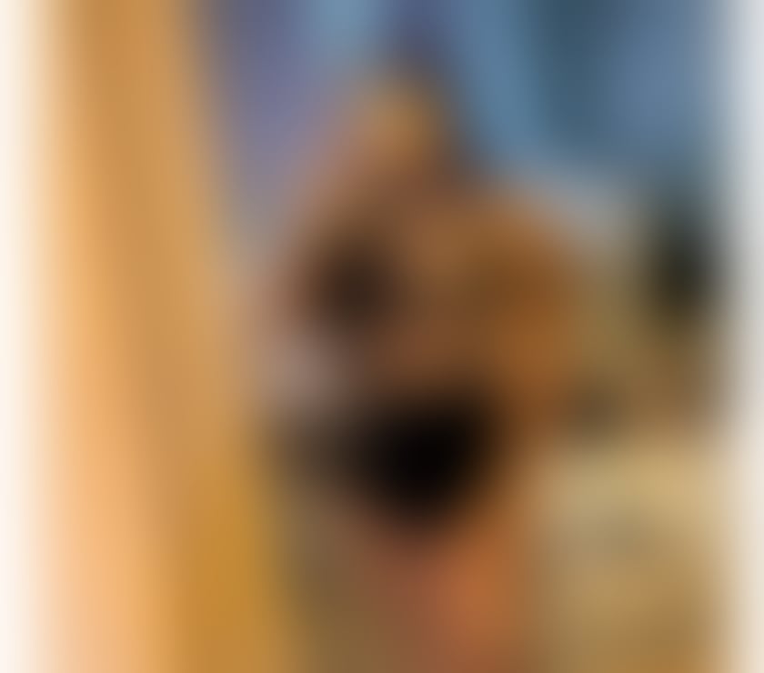 Escorts Kent Tonbridge and Malling - Photos for HOT LATINA 🔥NATURAL BODY❤️‍🔥REAL🥂✨