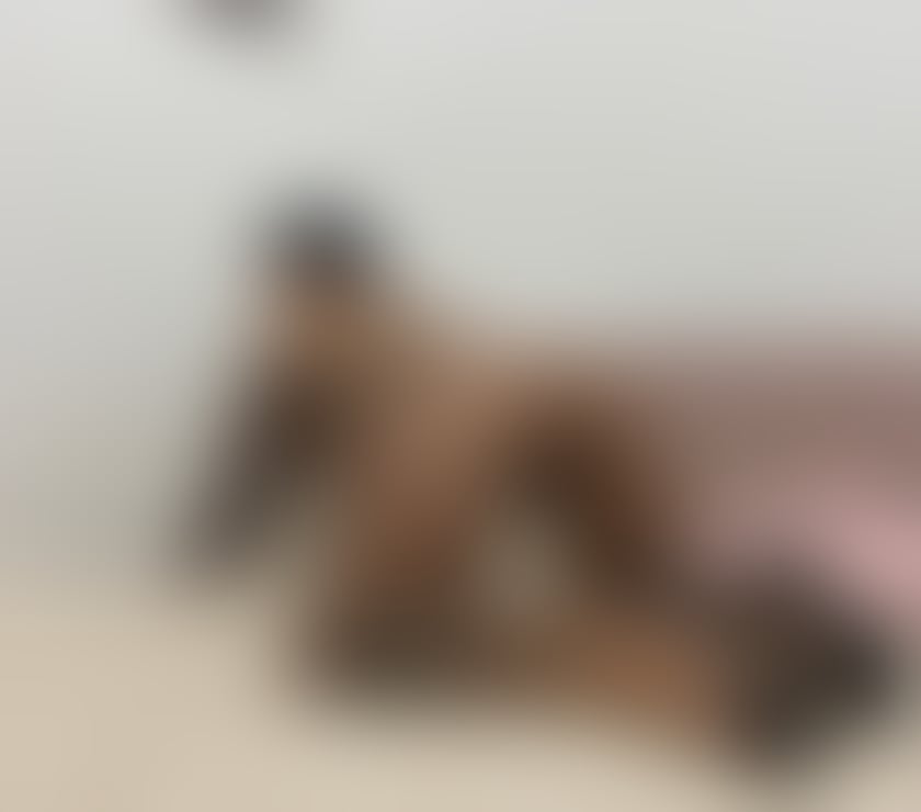 Escorts Lancashire Burnley - Photos for Isabella beautiful brunette new in cities big tits party gri