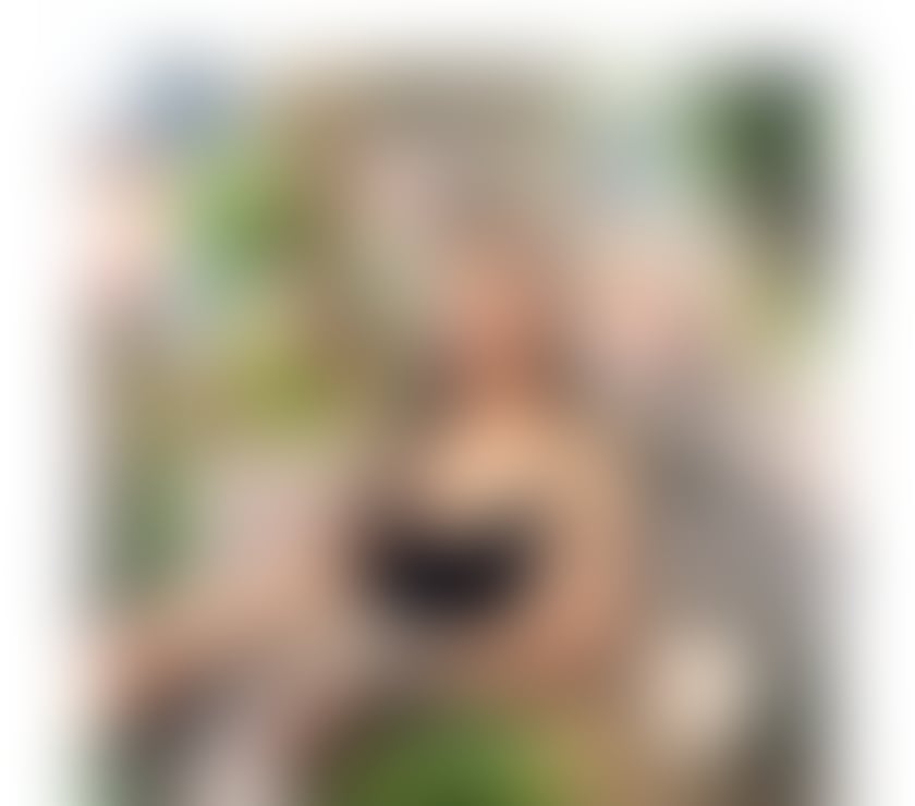 Escorts Swansea - Wales Sketty - Swansea - Photos for Downy New thailady from Thailand SA 8JN