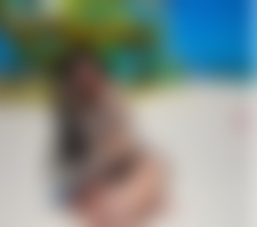 Escorts South Yorkshire Sheffield - Photos for NOVO NA CIDADE OWO+beijo 💦👅🫦🇧🇷