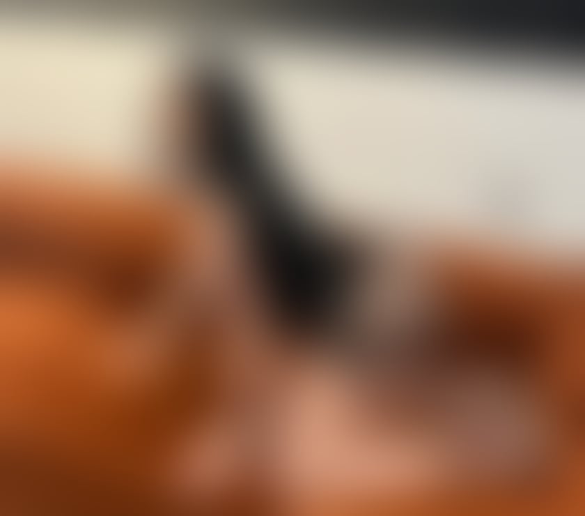 SEXY THALIA ❤️ HOT LATINA ❤️ BEST GFE PARTY