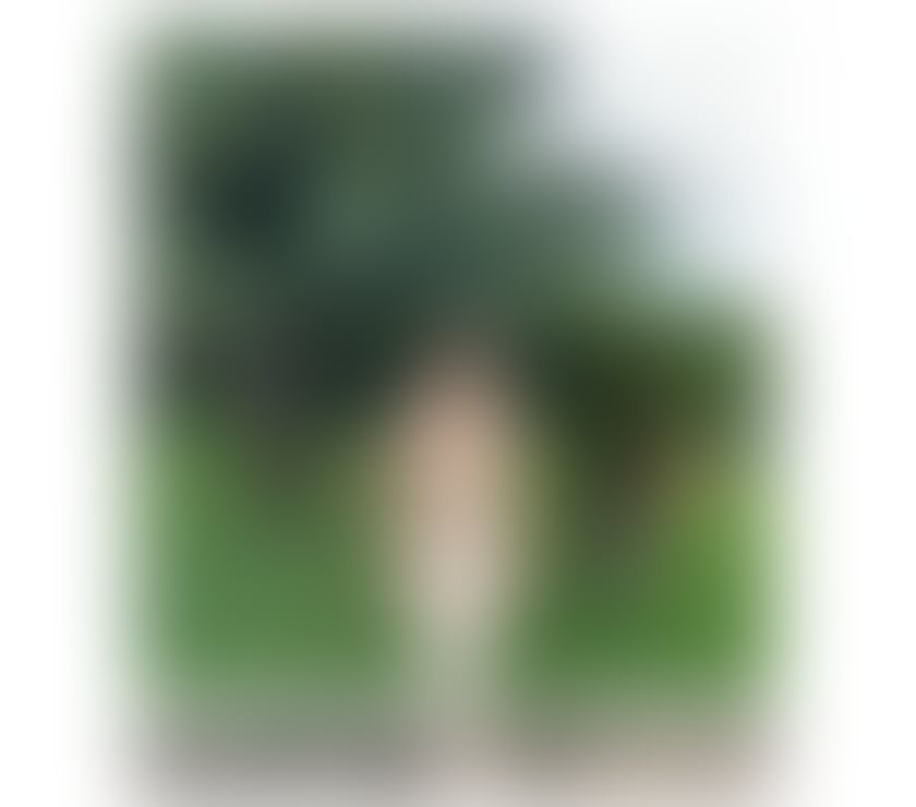 Escorts South West London Sutton - Photos for ISABELLA 🇧🇷 BEAUTIFUL PARTY GIRL ❤️‍🔥