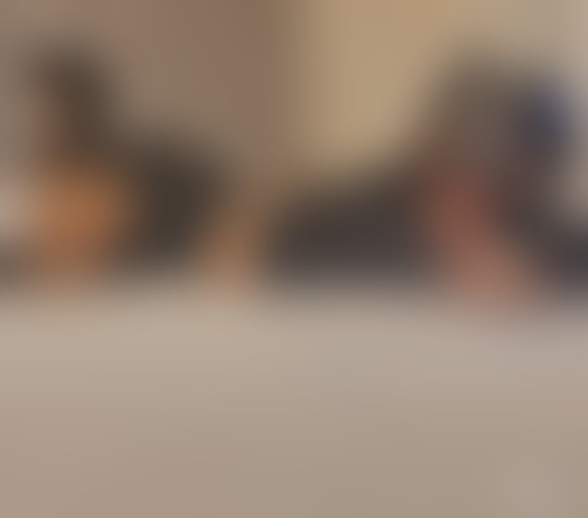 Escorts Dorset Bournemouth, Christchurch and Poole - Photos for ✅️PARTY NEW✅️IN TOWN BOOK NOW✅️