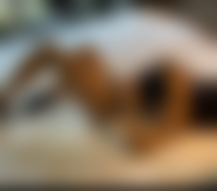 Escorts Lancashire Blackburn with Darwen - Photos for 💎 Discreet, Classy & Exceptionally Attentive