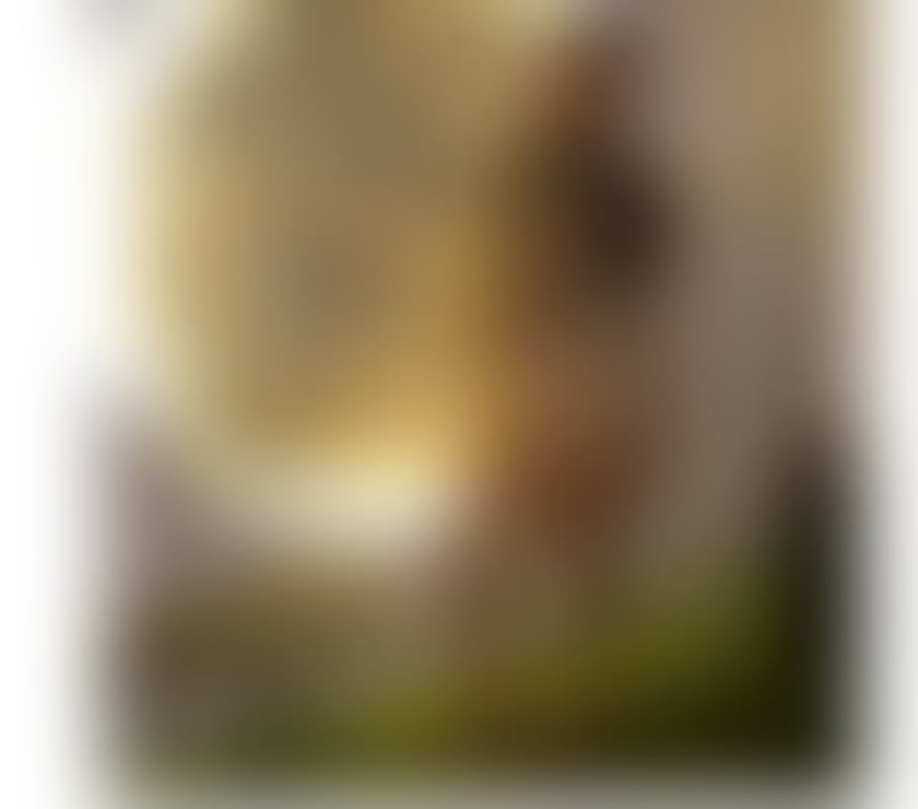 Escorts South Yorkshire Sheffield - Photos for Babi Brazilian 🇧🇷🤫🔥 Queen Owo 🔥