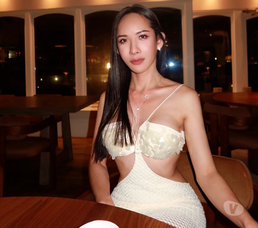Escorts South Yorkshire Sheffield - Photos for Hot Thai TS Sammy in Sheffield. 100% Real Pics!