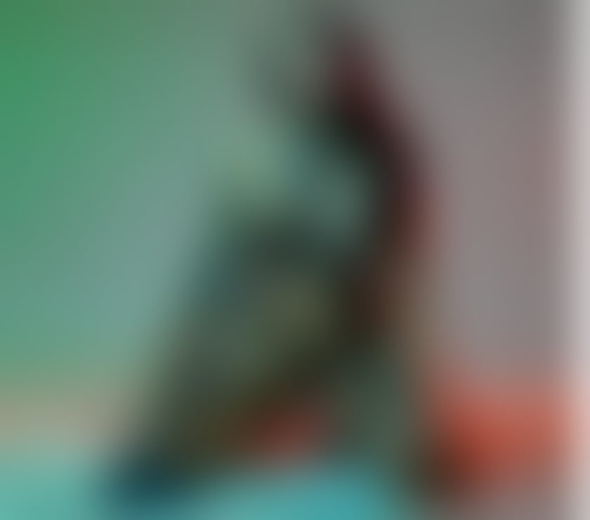 Trans Escorts North London Tottenham - North London - Photos for Lexxi's last week in London