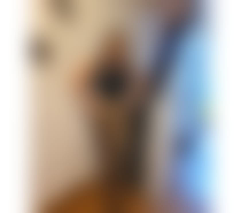 New Girl in your town ✨️ PARTY 🥳