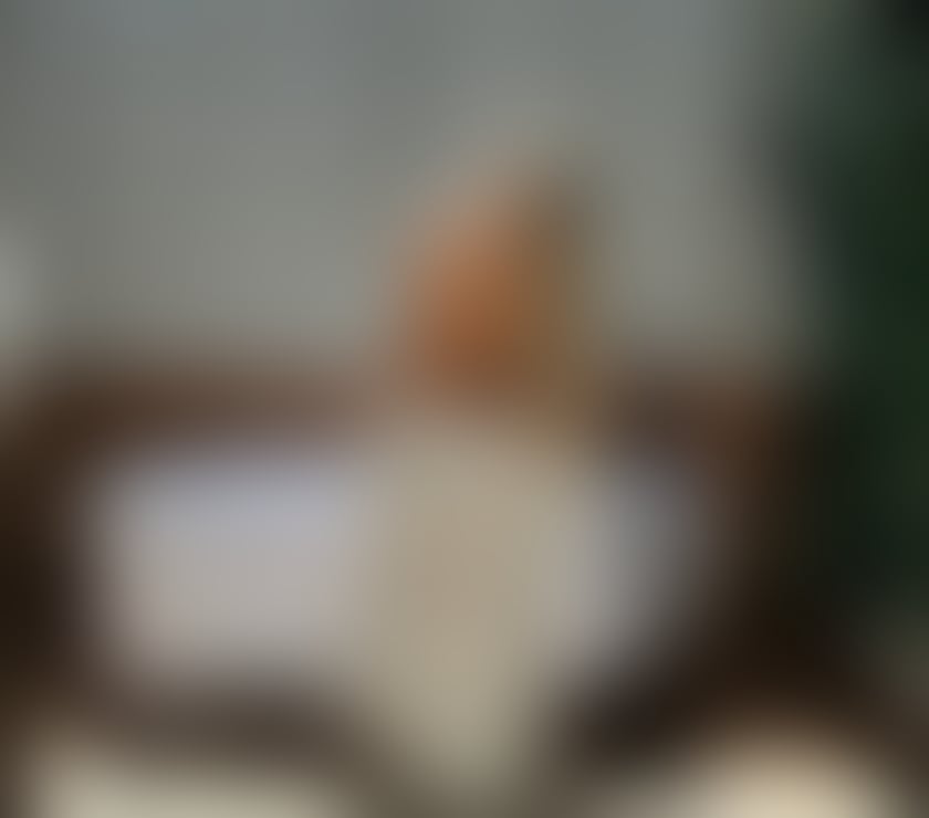 Escorts Glasgow Glasgow City Centre - Glasgow - Photos for ZARA 💖TANTRIC Massage | Sweet • Naughty • DFKiss 💋