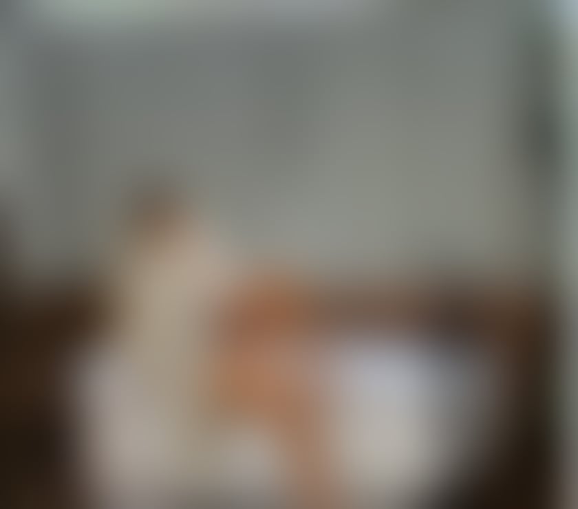 Escorts Glasgow Glasgow City Centre - Glasgow - Photos for ZARA 💖TANTRIC Massage | Sweet • Naughty • DFKiss 💋