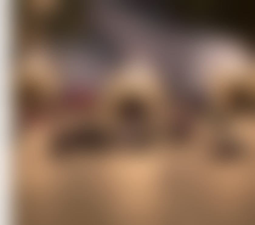 Gay escorts Kilburn Station North West London - Photos for Ka Blonde💃full servicie👅g🌹rl p@rty