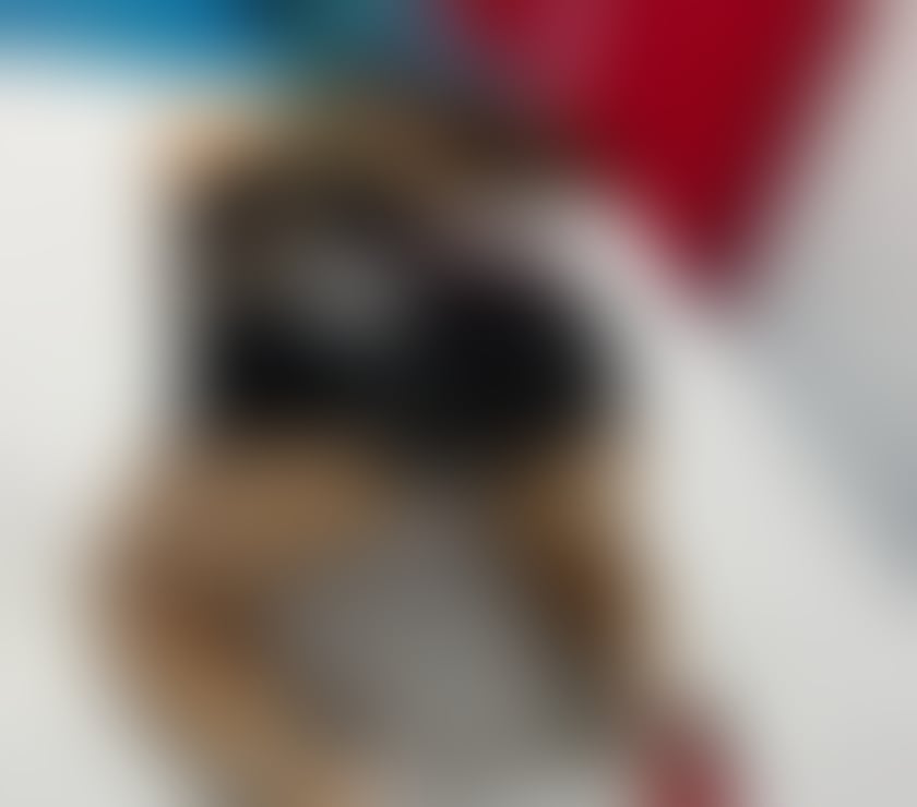 Escorts Tyne and Wear Sunderland - Photos for Sensuality and unhurried fun 🌼🔞🍑